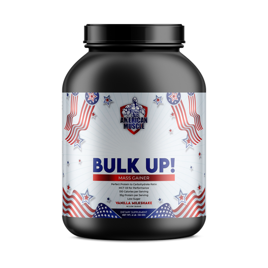 Bulk Up Mass Gainer Vanilla